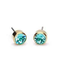 Bezel Øreringe 6 mm