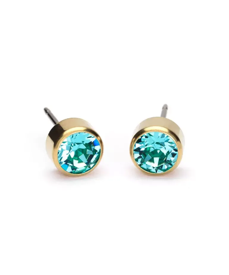 Bezel Øreringe 6 mm
